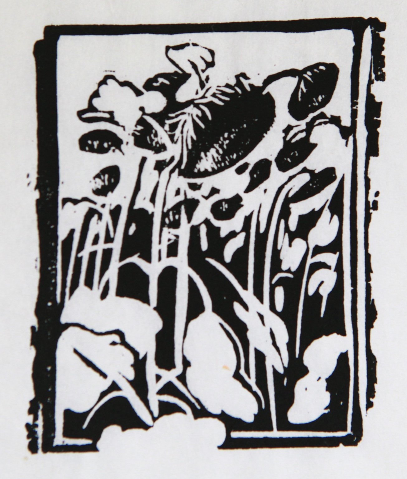 Holzschnitt 8 × 10 cm