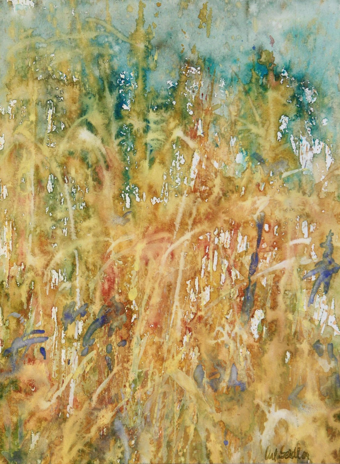 1984 Aquarell Schilf 26,7 × 36,2 cm