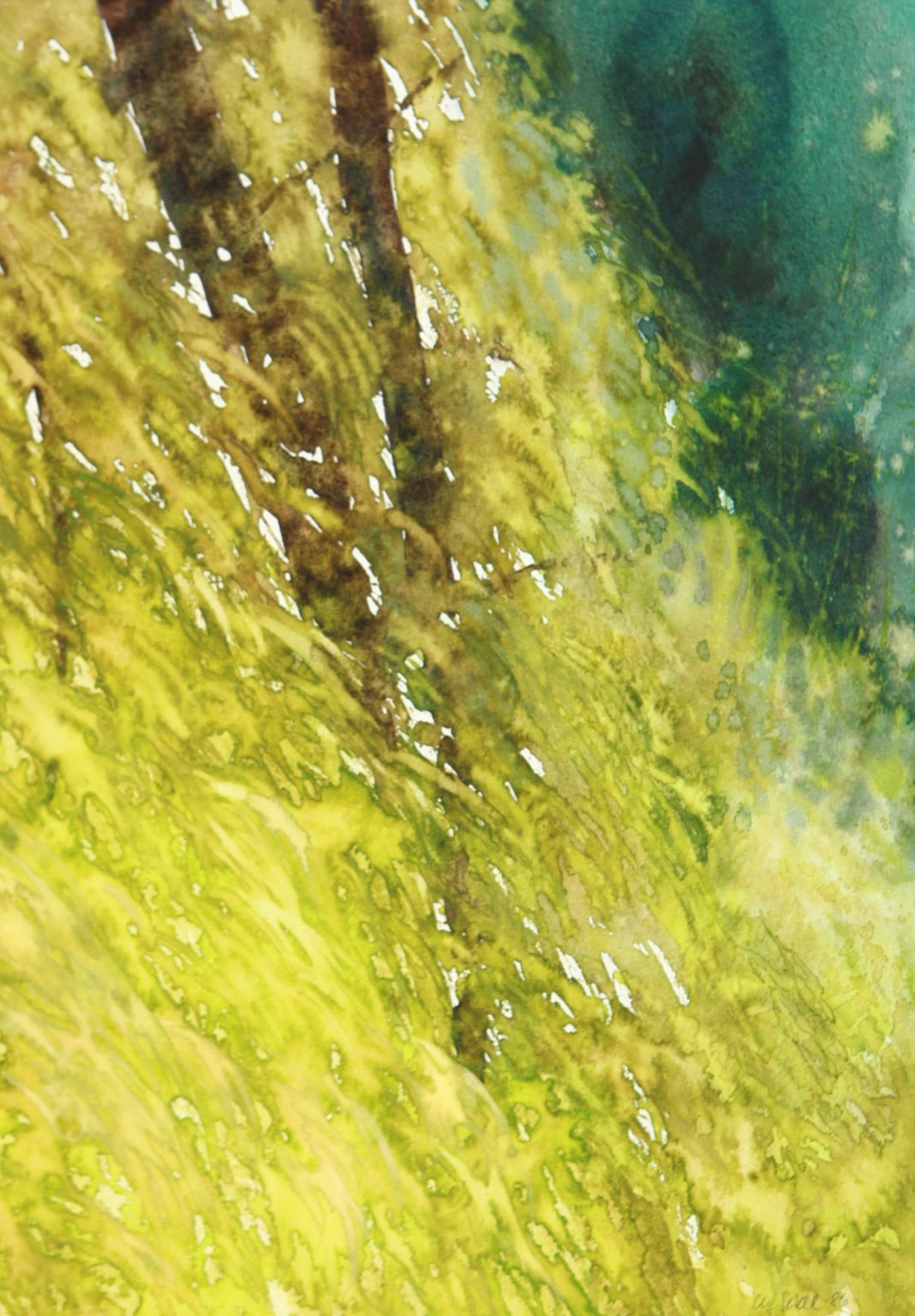 1986 Aquarell Waldböschung 26,6 × 37,7 cm