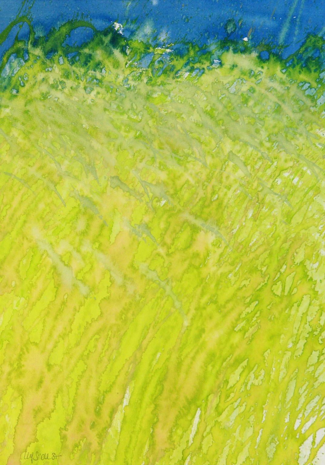 1987 Aquarell Gräser 26,8 × 37,9 cm