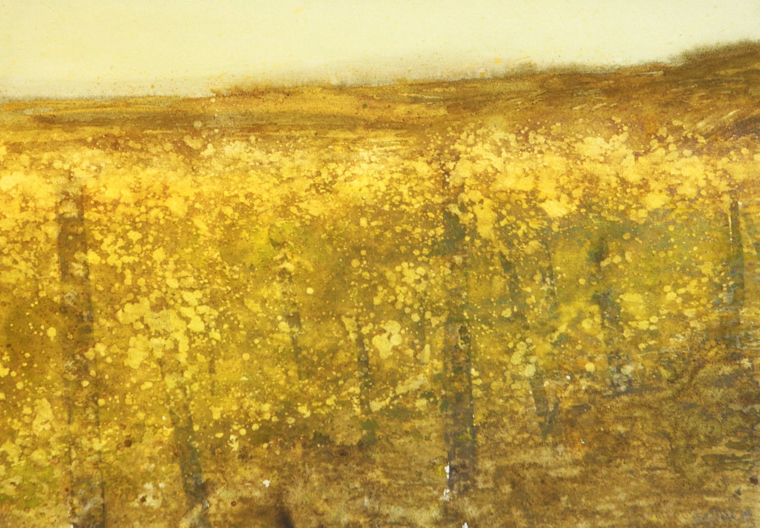 1988 Aquarell Weinstöcke im Gegenlicht 38 × 26,7 cm