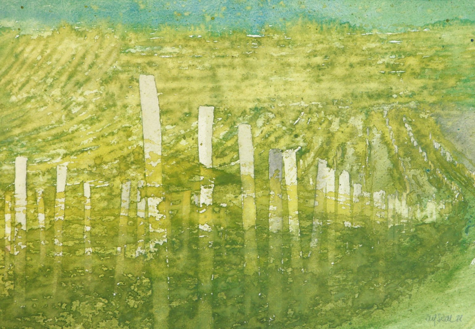 1988 Aquarell Weinstöcke in Donnerskirchen 37,9 × 26,6 cm