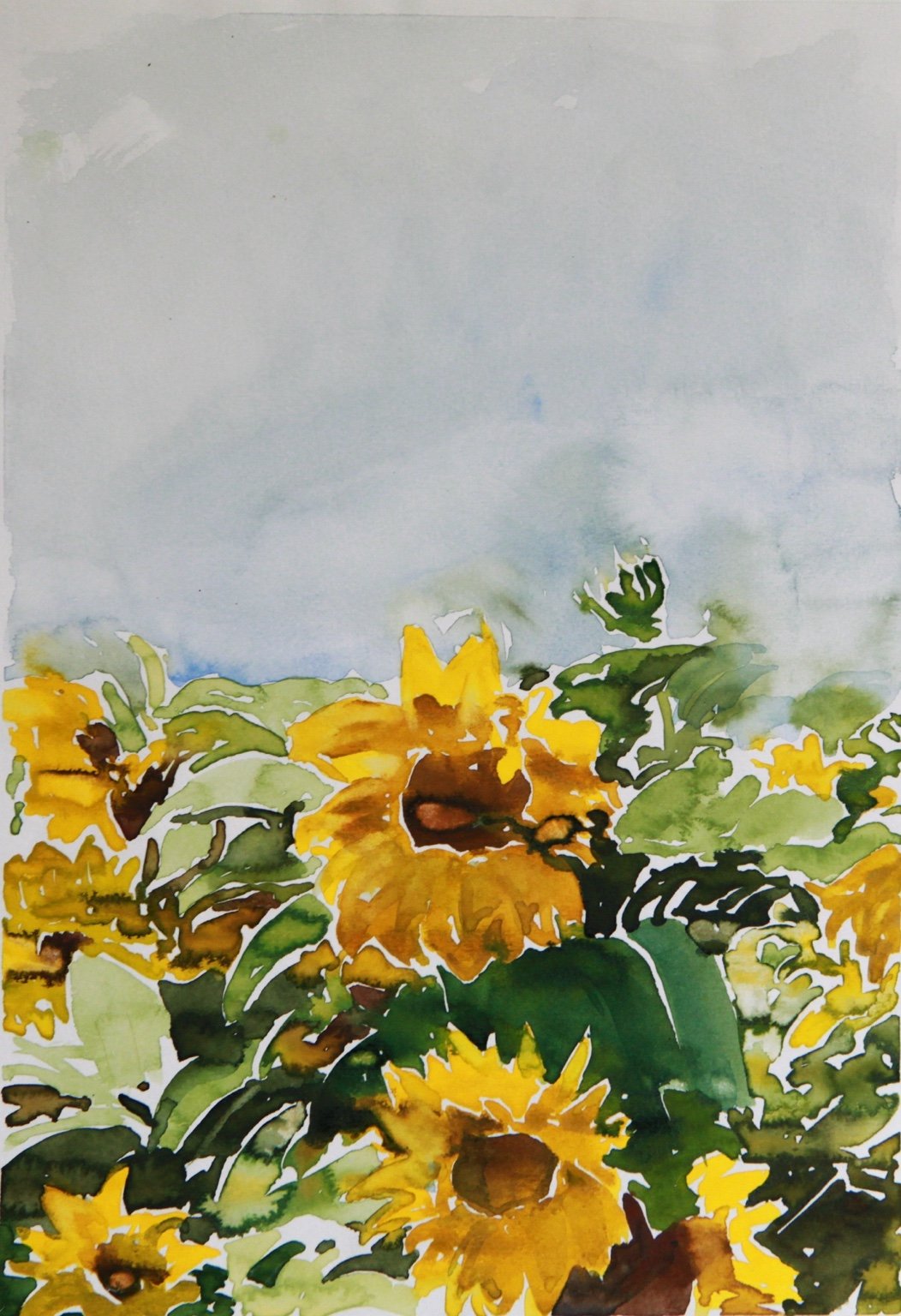 Aquarell Sonnenblumen 20,2 × 28,5 cm